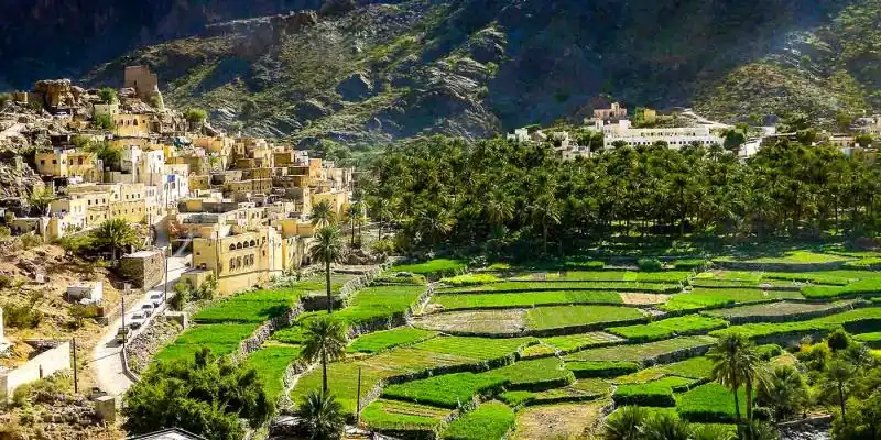 Wadi Bani Awf and Wadi Al Abyadh Tour